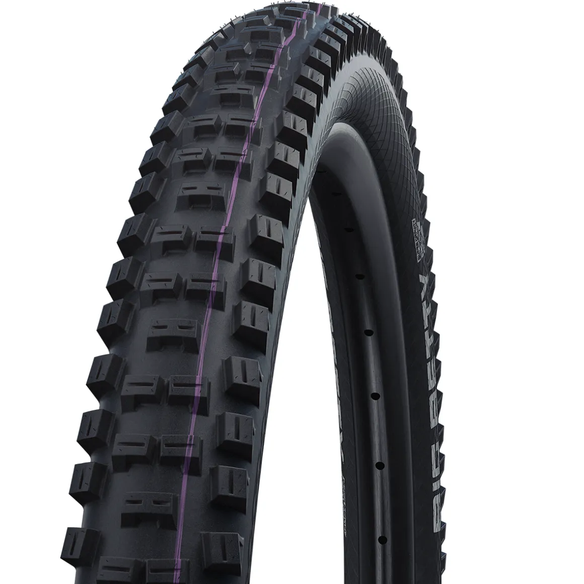 Big Betty Evolution Super Downhill ADDIX Ultra Soft TLE MTB Folding Tyre