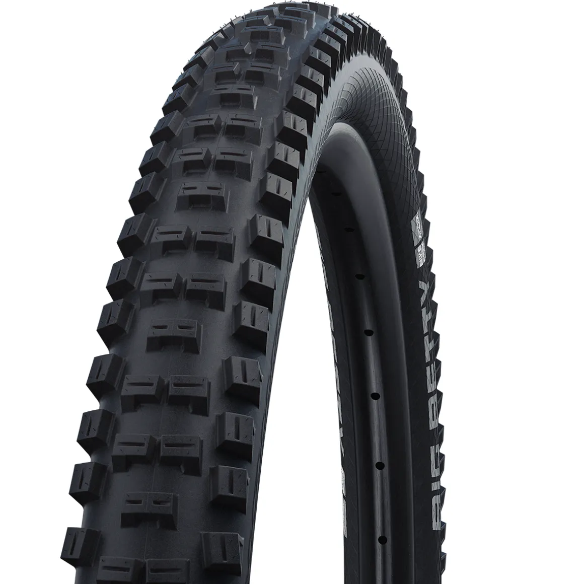 Big Betty Performance Line ADDIX Tube MTB Clincher Tyre