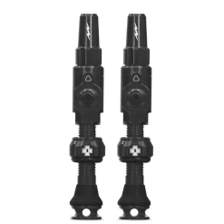 Big Bore Lite Tubeless Valve