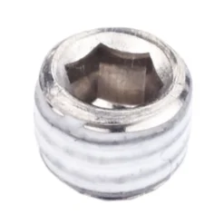 Bleed Screw