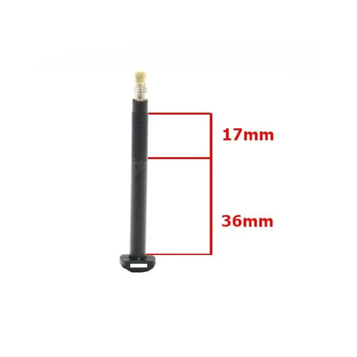 Carbonaria TL Tubeless Carbon Presta Valve