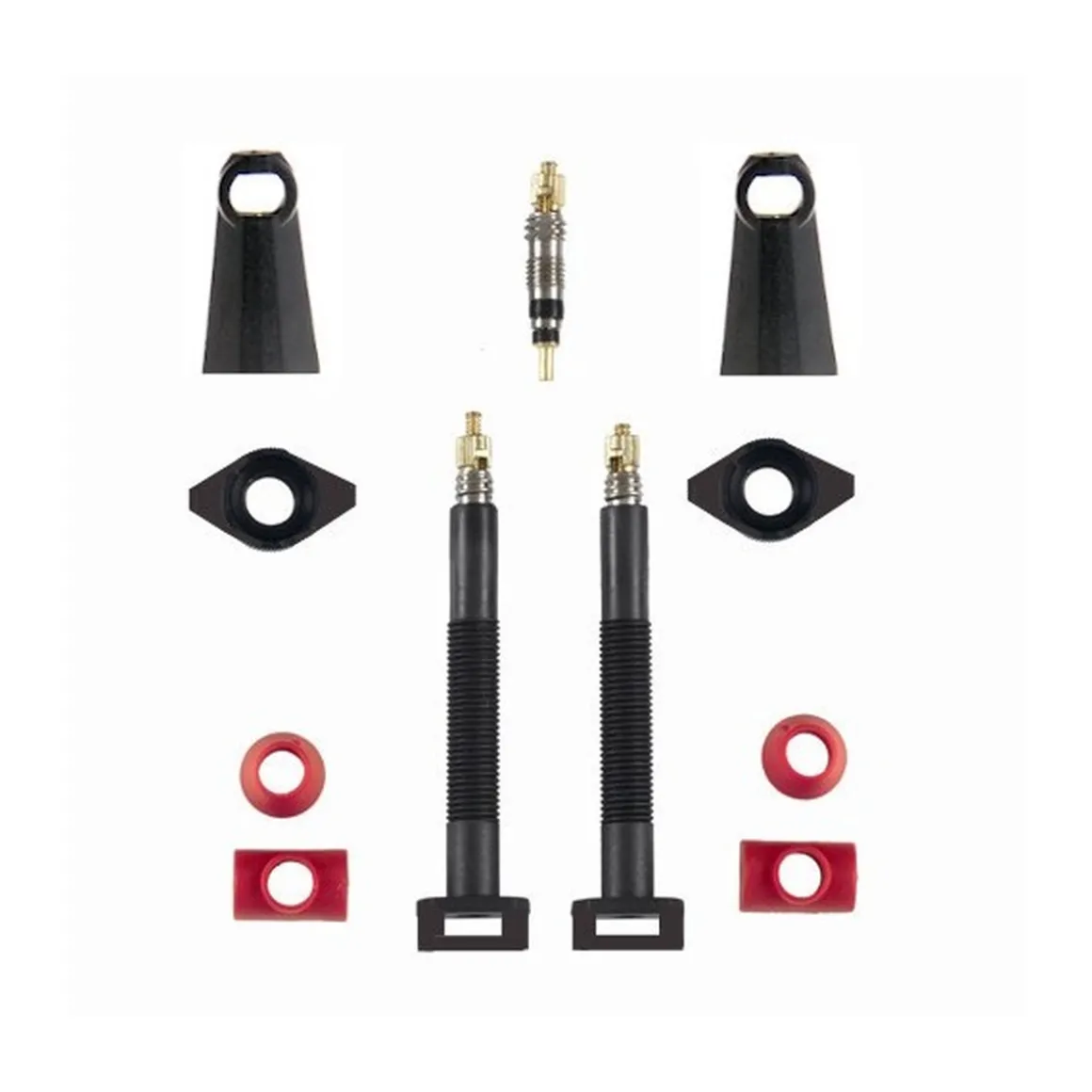 Carbonaria TL Tubeless Carbon Presta Valve