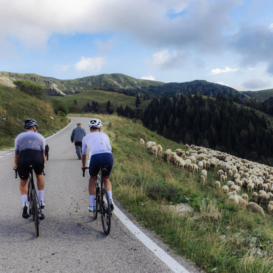 CLIMBER’S A/C JERSEY Cycling Jersey