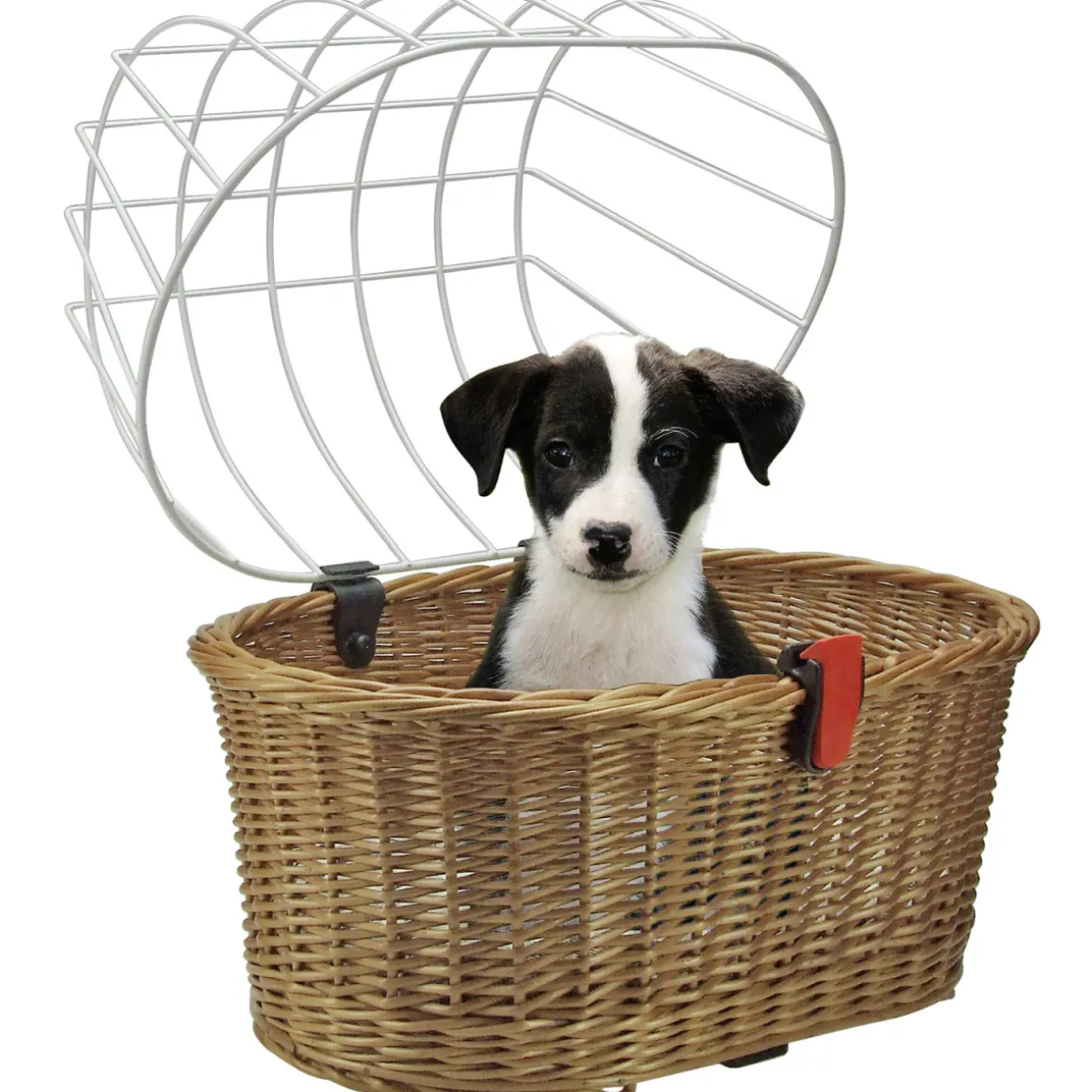 DOGGY BASKET KORBKLIP
