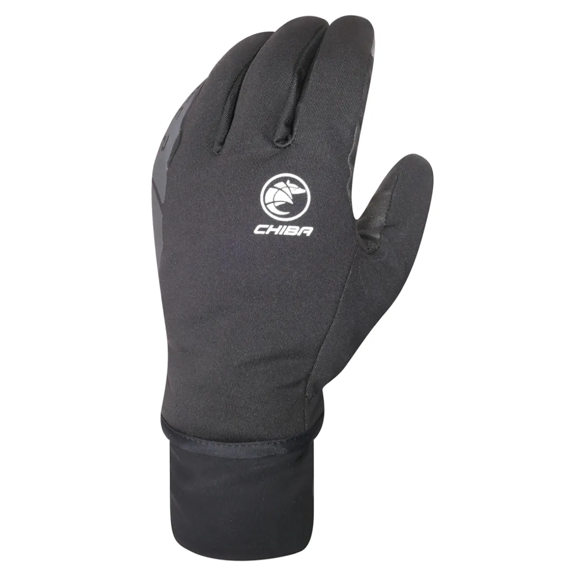 ICE II Winter Gloves
