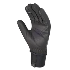 ICE II Winter Gloves