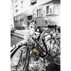 New York Fahgettaboudit 1410 Chain Lock