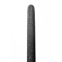 Pasela Clincher Tyre