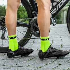 TRICOLORE REGULAR CUT 3 PACK Socks