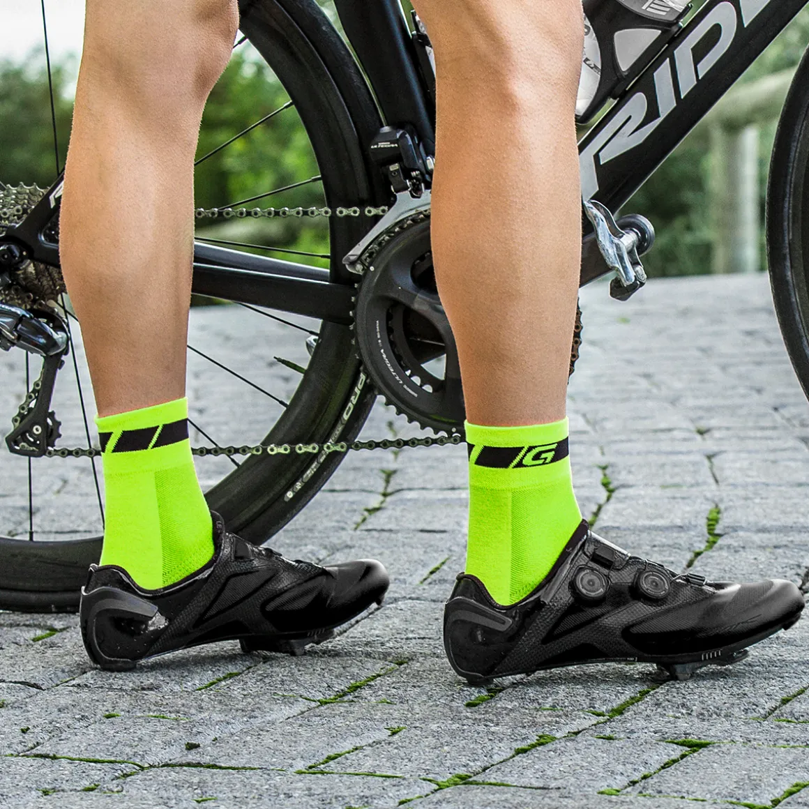 TRICOLORE REGULAR CUT 3 PACK Socks