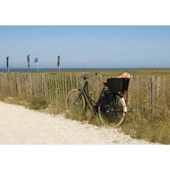 WEAVE WP Rear Bike Basket